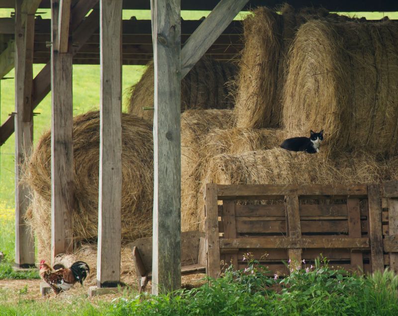 Agricultural Pole Barn